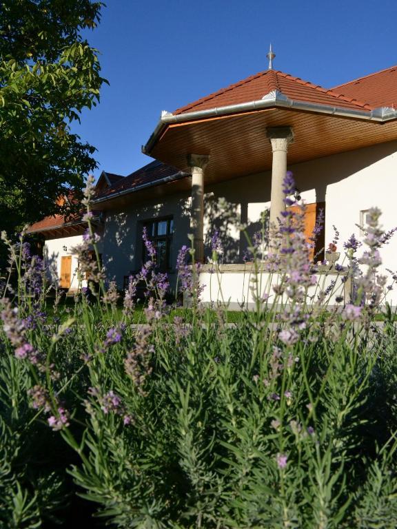 Hotel Turjan Vendeghaz Erdőbénye Zewnętrze zdjęcie