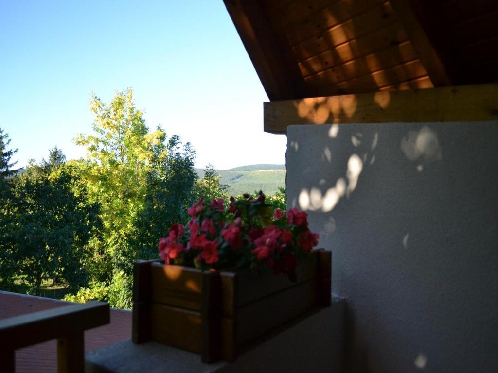 Hotel Turjan Vendeghaz Erdőbénye Zewnętrze zdjęcie